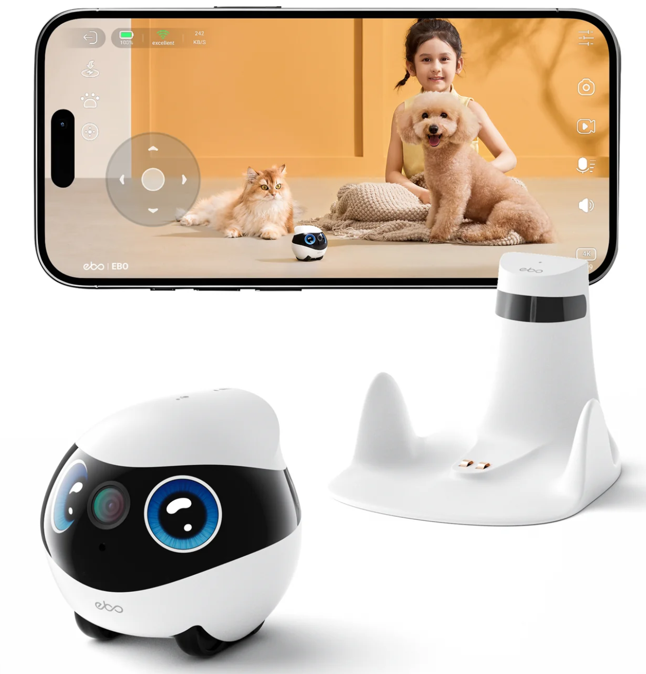 EBO AI pet and family robot with phone app view